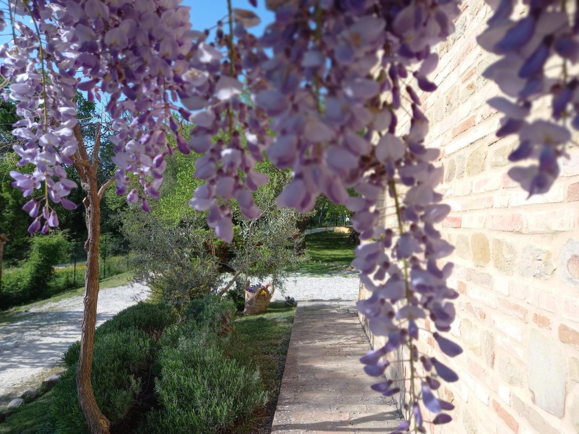 Il Casale Di Aurora Country House Colmurano Bagian luar foto
