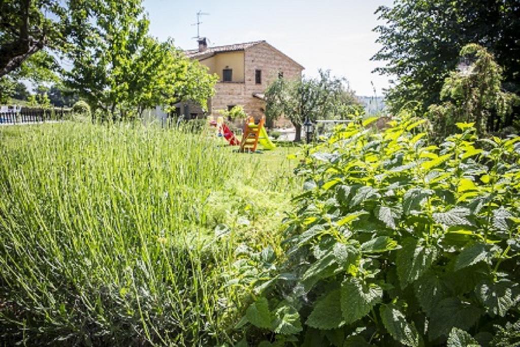 Il Casale Di Aurora Country House Colmurano Bagian luar foto