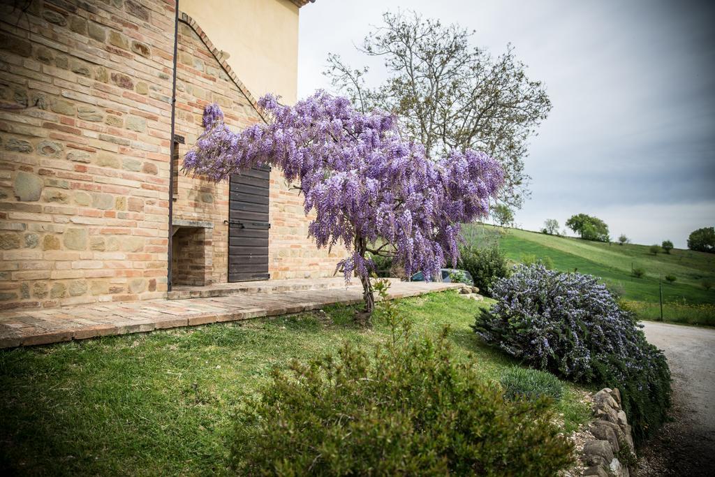 Il Casale Di Aurora Country House Colmurano Bagian luar foto